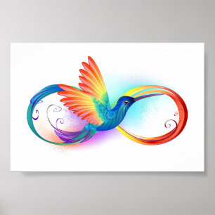 Poster Arco-íris Hummingbird com símbolo Infinito