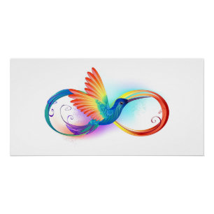 Pôster Arco-íris Hummingbird com símbolo Infinito