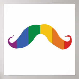 Poster Arco-íris Stache .png