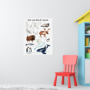 Poster Arctic Animals   Education Learning Classroom