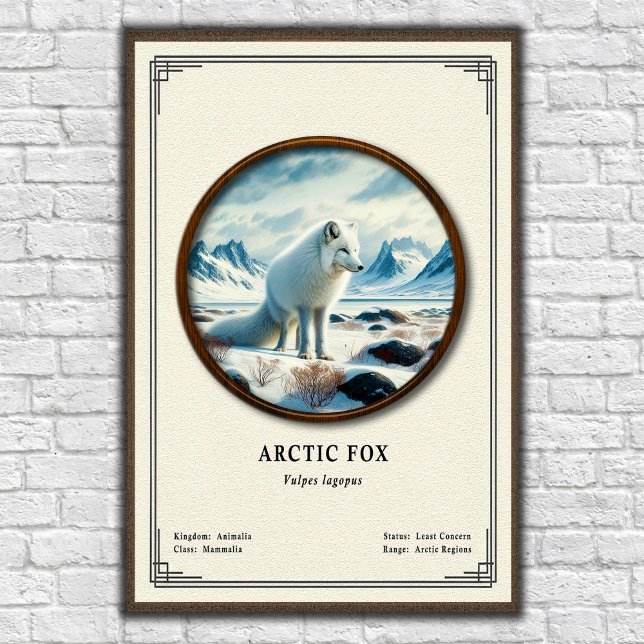 Poster Arctic Fox Zoology Series (Criador carregado)