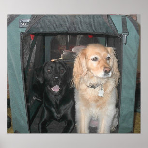 Pôster Ardósia e Sasha