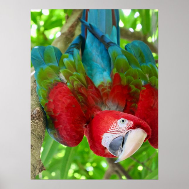 Poster Are you lookin' at me? (Frente)