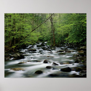 Pôster Área da área de Greenbrier, Great Smoky Mountain