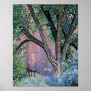 Poster Área de Recreação Nacional Glen Canyon, Utah. EUA.