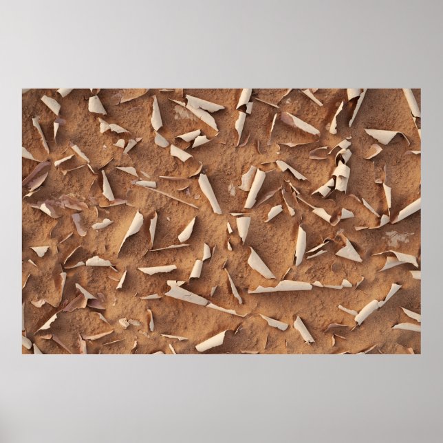 Poster Areia (Frente)