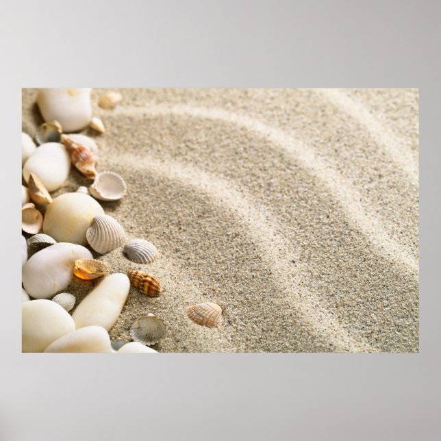Pôster Areia Com Conchas E Pedras. Composição de praia (Frente)