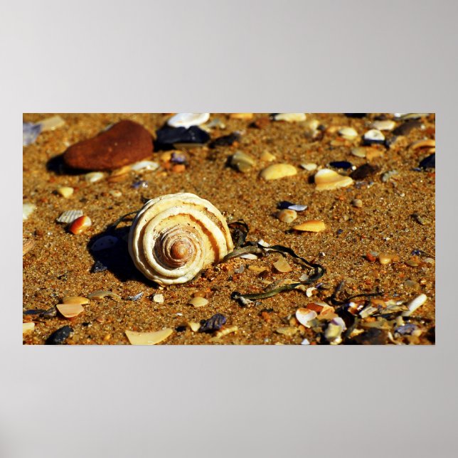 Pôster areia patonga (Frente)