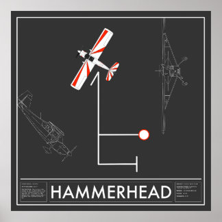 Poster Aresti Aerobatic Hammerhead Super Decathlon
