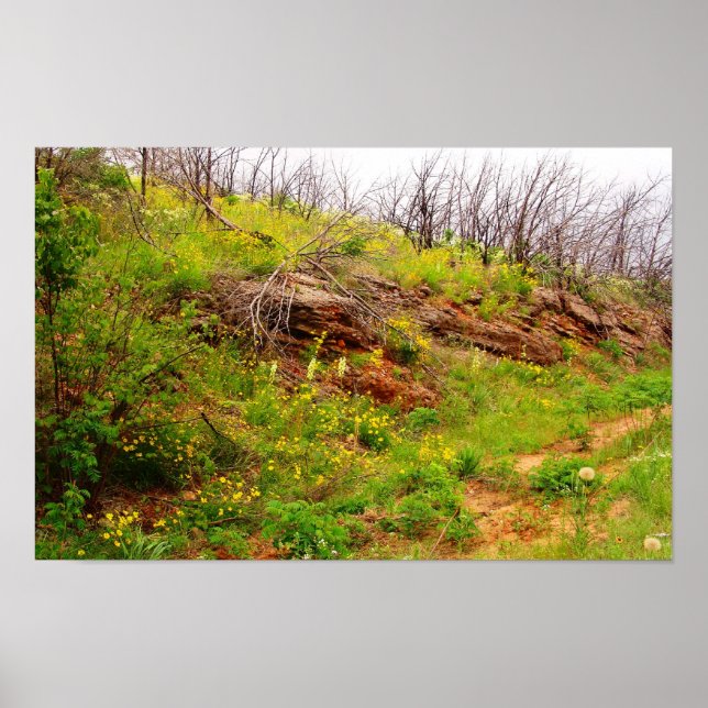 Pôster Arfivelas após incêndio (Frente)