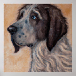 Poster Ariegeois - Retrato Canino