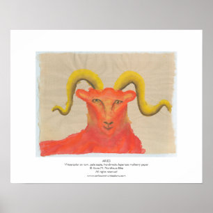 Pôster Aries