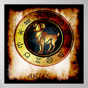 Pôster Aries