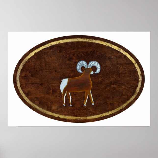 Pôster Aries 2008 (Frente)