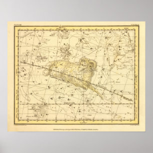 Poster Aries, Musca Borealis