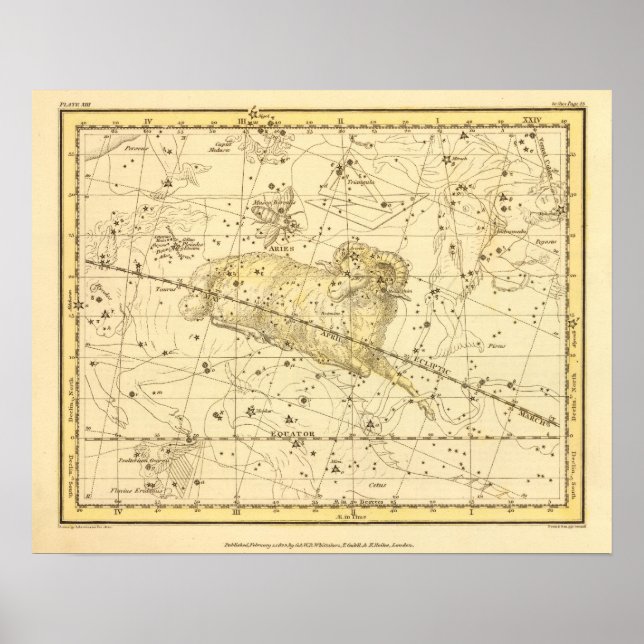 Poster Aries, Musca Borealis (Frente)