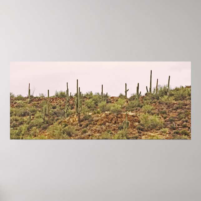 Poster Arizona cacto paisagem (Frente)