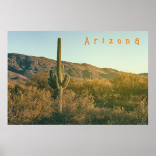 Poster Arizona do Deserto Sonoran