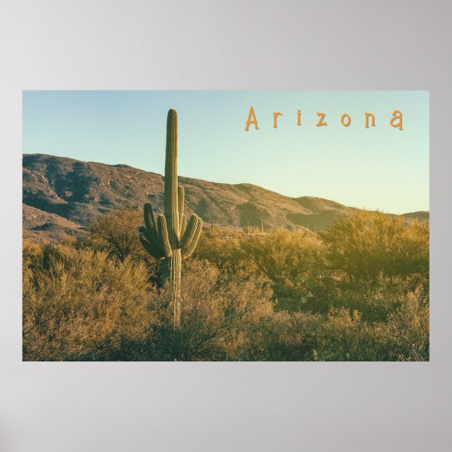 Poster Arizona do Deserto Sonoran (Frente)