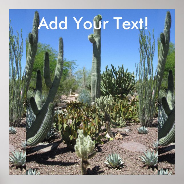 Poster Arizona do Jardim Cactus (Frente)