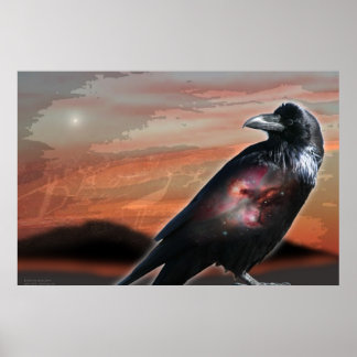 Pôster Arizona Raven