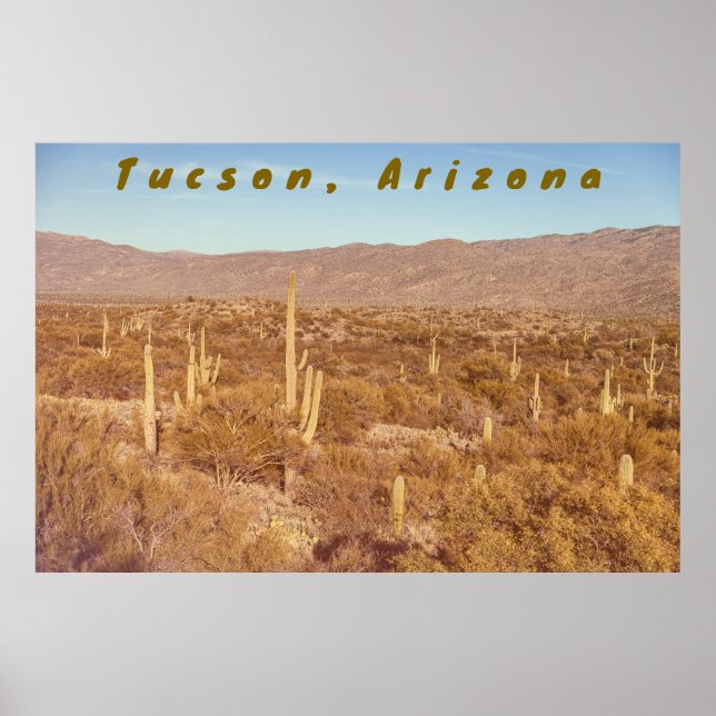 Poster Arizona Saguaros (Frente)