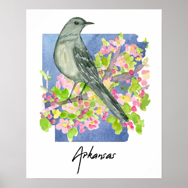 Poster Arkansas Natural State Mockingbird Apple Blossoms (Frente)