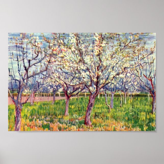 Pôster Arles Por Vincent Van Gogh (Frente)