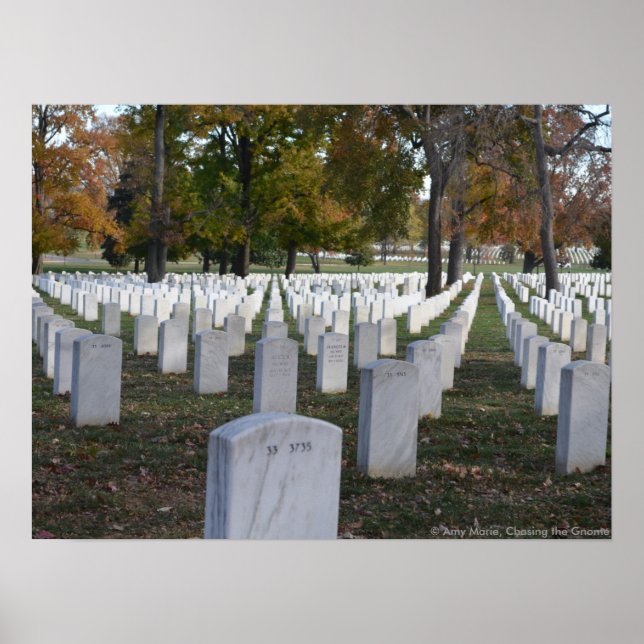 Poster Arlington Cemetery Fall 2013 Headstones (Frente)