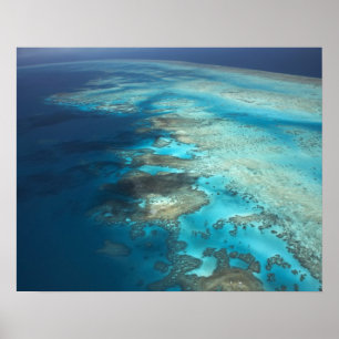 Poster Arlington Reef, Excelente Barrier Reef Marine Park
