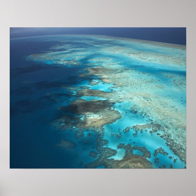 Poster Arlington Reef, Excelente Barrier Reef Marine Park (Frente)