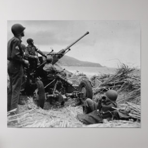 Pôster Arma de Bofors AA