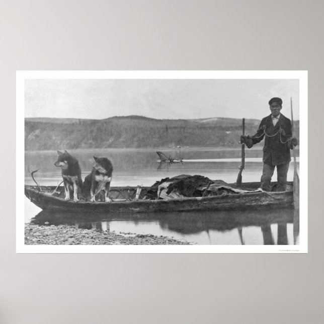 Poster Armadilha com Couros e Cães no Alasca 1906 (Frente)