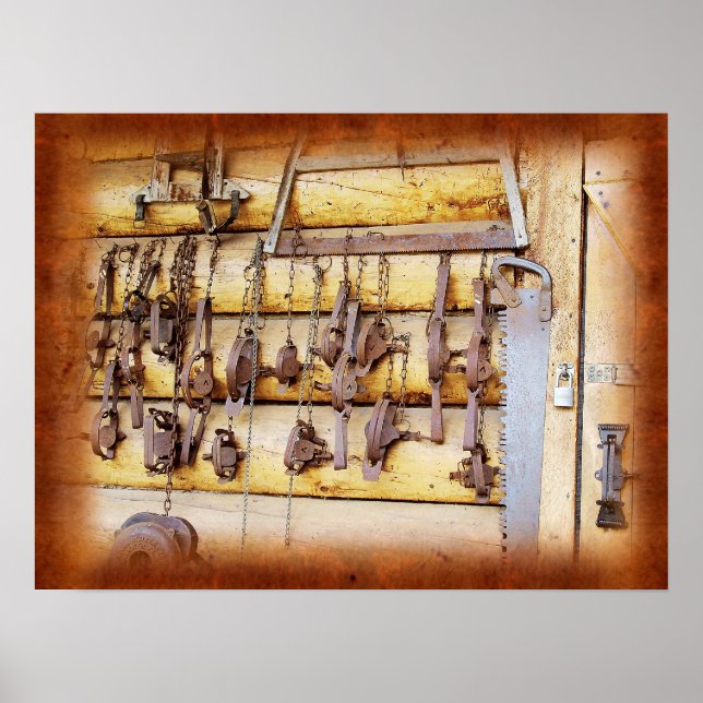 Pôster Armadilhas de animais no Alasca (Frente)