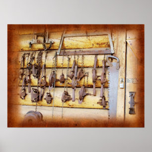 Pôster Armadilhas do animal em Alaska