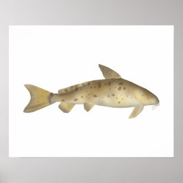 Poster Armado