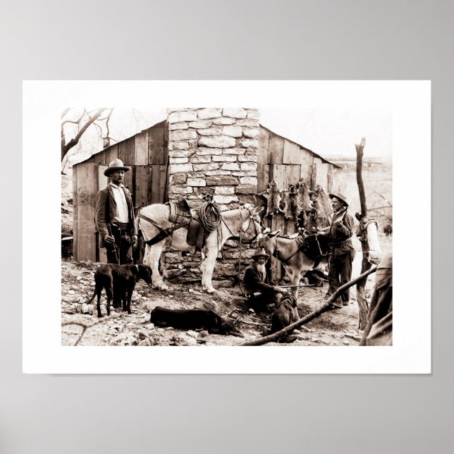 Pôster Armadores e sua cabina, EUA (Frente)