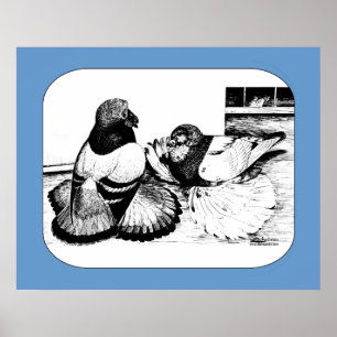 Poster Armadores Ingleses