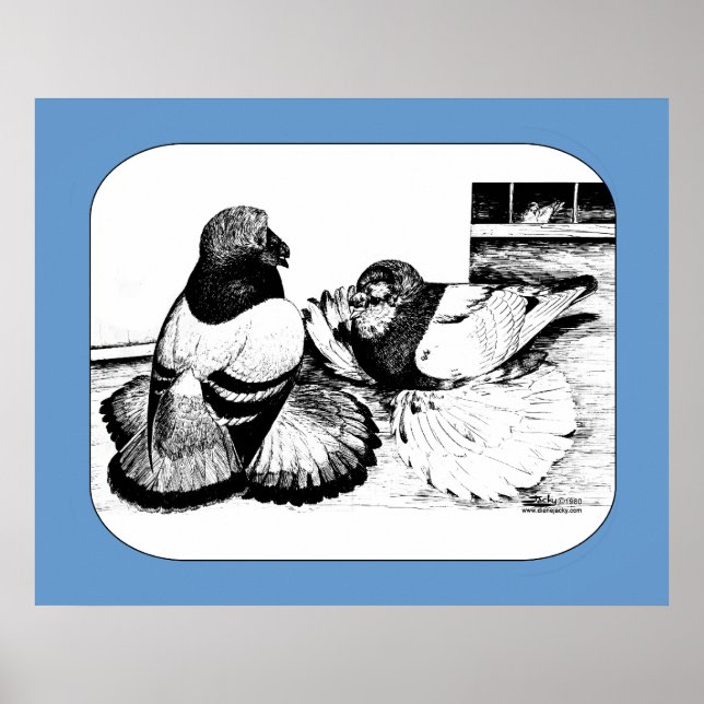 Poster Armadores Ingleses (Frente)