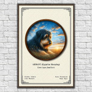 Poster Armant (Cão de Ovelha Egípcio) Série de Zoologia