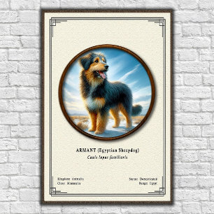 Poster Armant (Cão de Ovelha Egípcio) Série de Zoologia