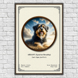 Poster Armant (Cão de Ovelha Egípcio) Série de Zoologia