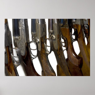 Pôster armas de caça