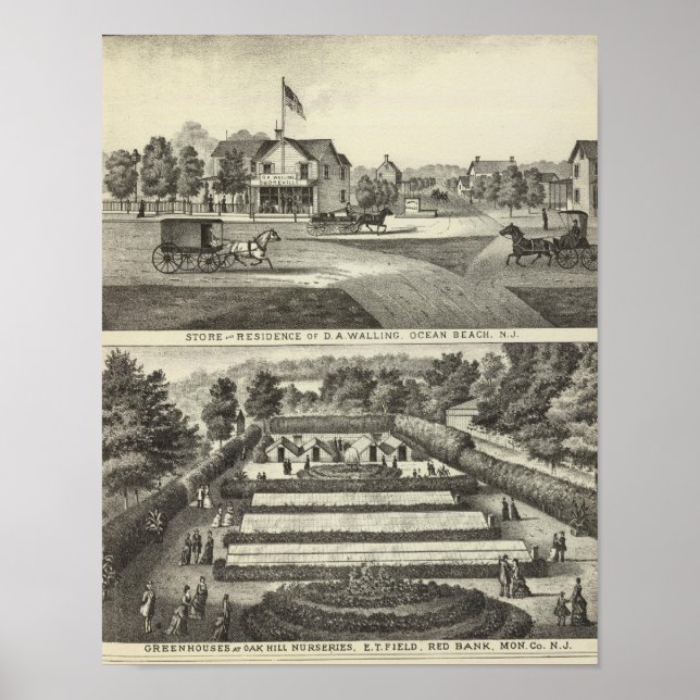 Poster Armazenagem e residência da D. Walling (Frente)