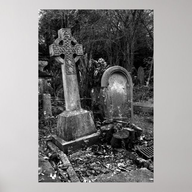 Poster ArnosVale7 (Frente)