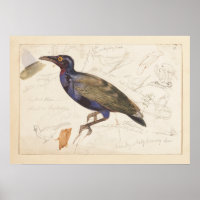 [Aroma não identificado]. 1835, Lear, Edward