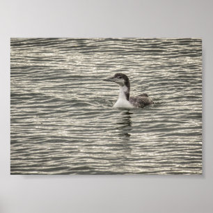 Poster Arquivamento de Cinzas de Aves do Lago de Winter L