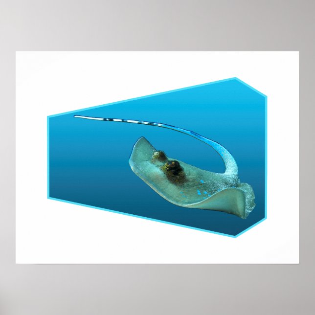 Poster Arraia se movendo! Design com fundo azul gradiente (Frente)