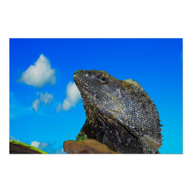 Pôster Arrancado Amigo (Frente)