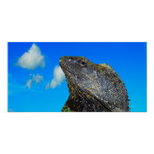 Pôster Arrancado Amigo